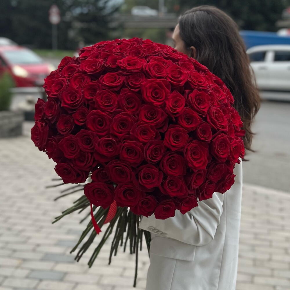 100 duch red rose